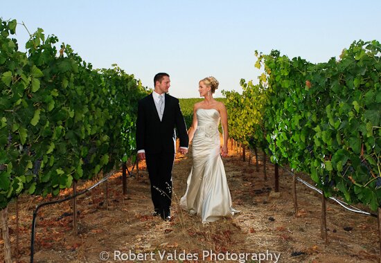 Los Positas Vineyards Wedding Photos