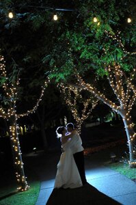 wente vineyards wedding photo